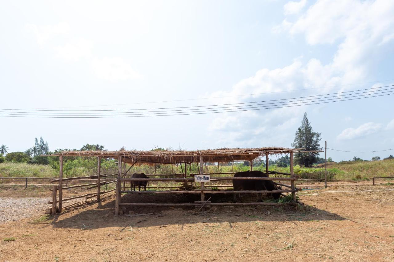 The Barn Hua Hin Otel Khao Tao Dış mekan fotoğraf